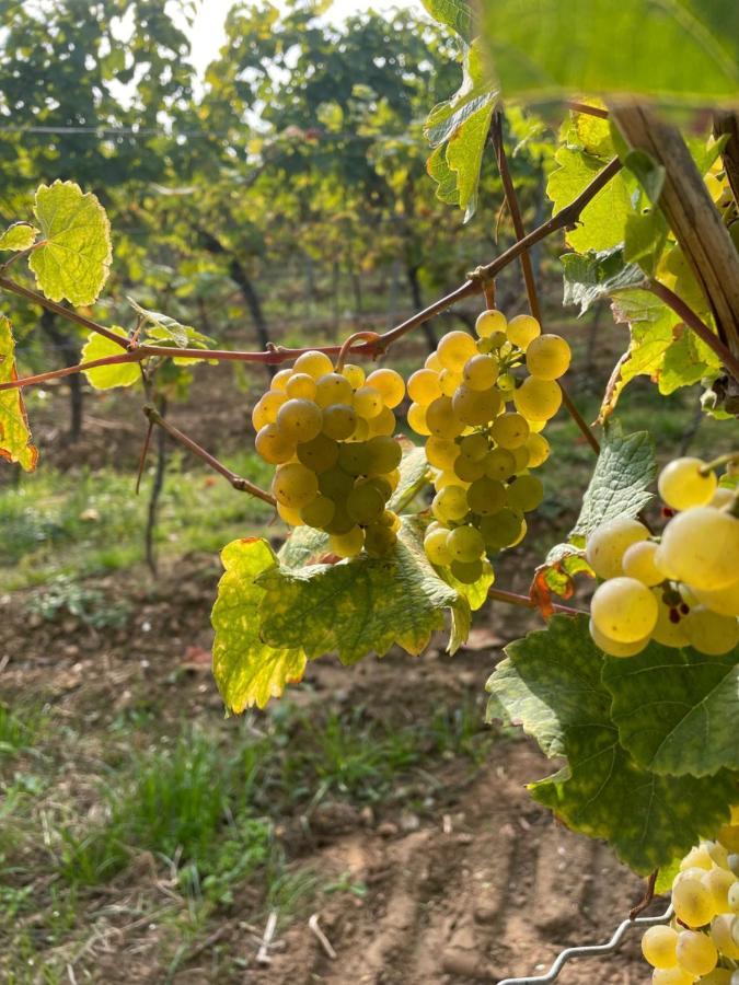 Lambrecht Dicker Steinアパートメント エクステリア 写真